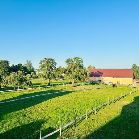 Bergblick-apartment Istayunixi Seenaehe-workspace-netflix I Keine Monteure Friedrichshafen