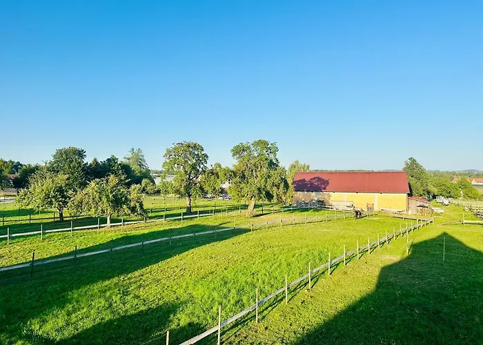 Bergblick-apartment Istayunixi Seenaehe-workspace-netflix I Keine Monteure Friedrichshafen